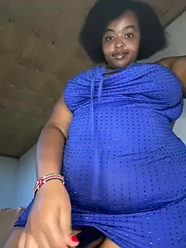 Carlina__