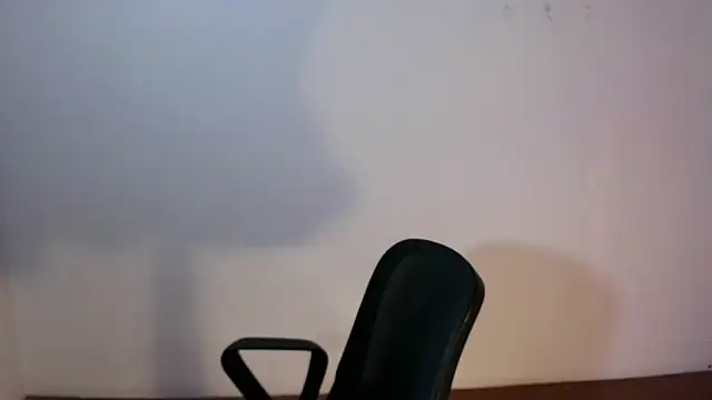 Emilyswan04