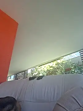 Magnietik