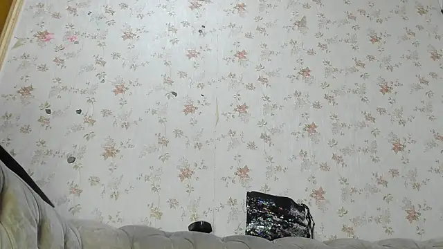 fer_dz